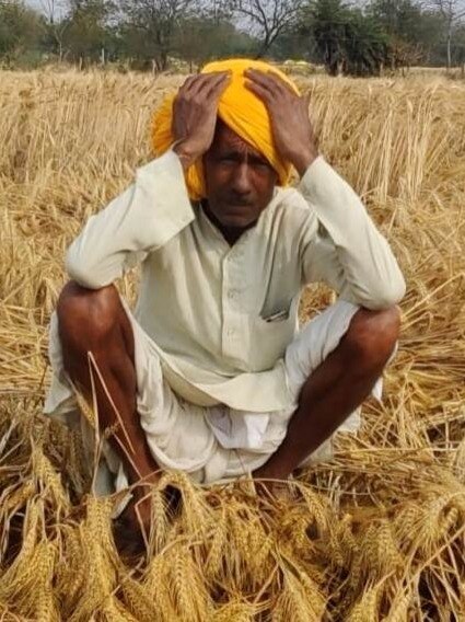 ओले-बारिश से किसान बेहाल, तस्वीरों में देखें फसलों की बर्बादी