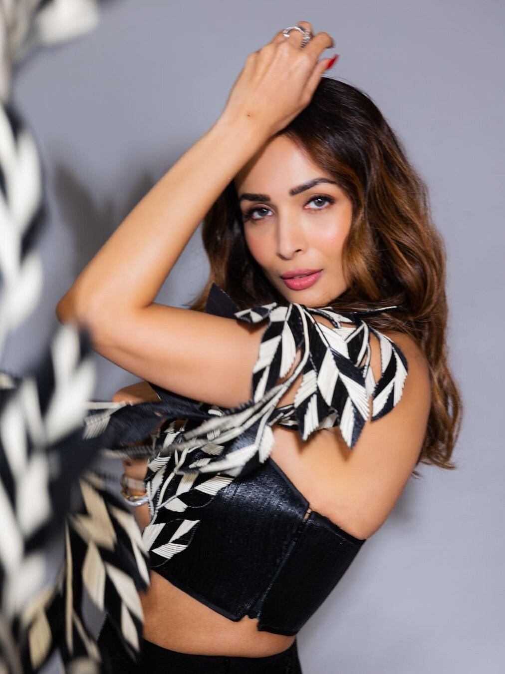 मलाइका ने दिखाए लटके-झटके, जल्द आएगा गाना, फैन्स ने पूछा- खाती क्या हो?