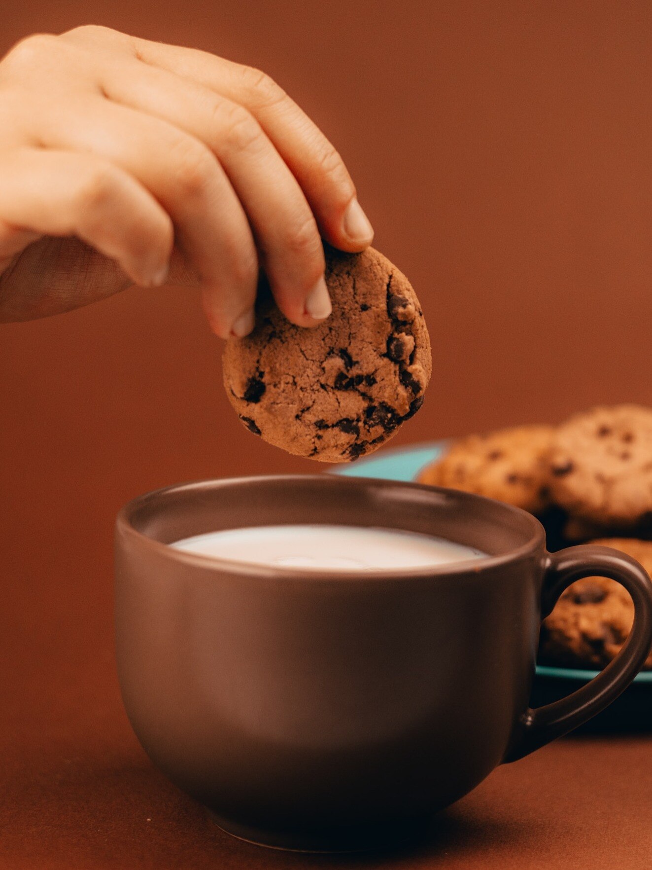 কীভাবে বিস্কুট কুড়মুড়ে রাখবেন? রইল টিপস