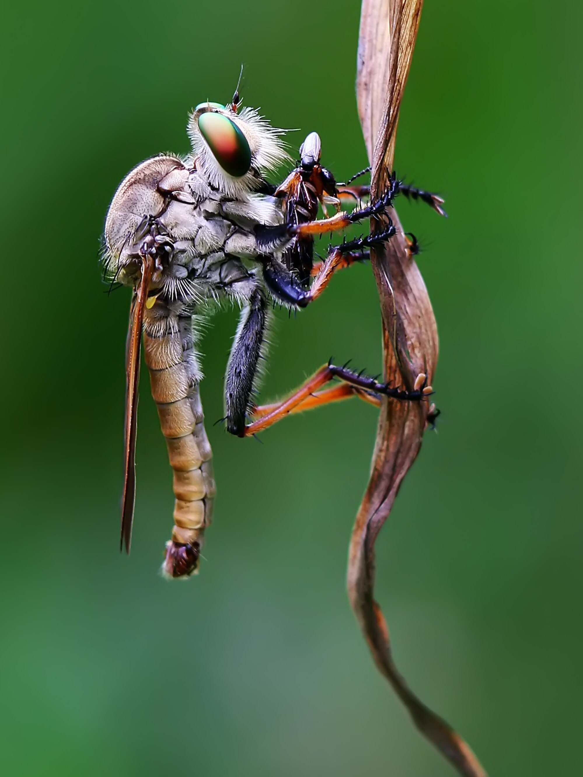  কোন ব্লাড গ্রুপ থাকলে মশা বেশি কামড়ায়? 