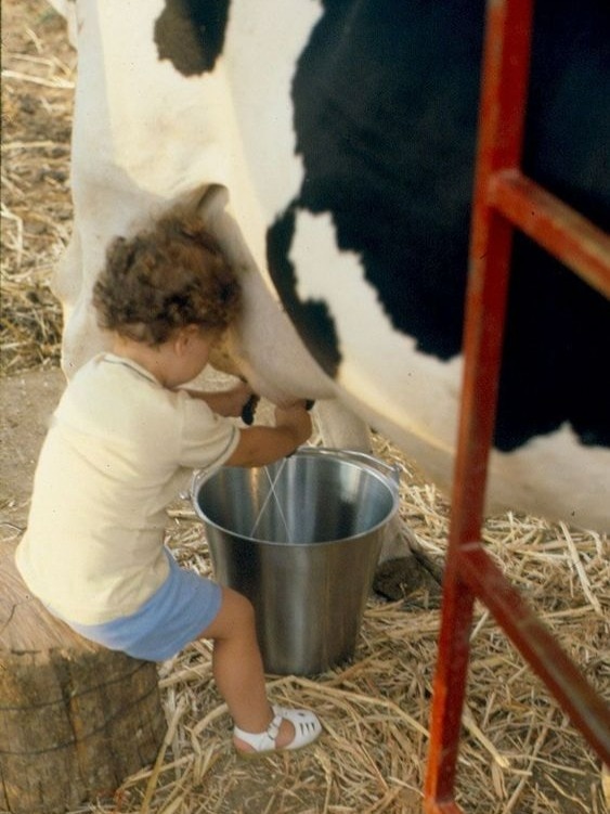 तो इसलिए गर्मी में कम दूध देते हैं पशु, जानें बढ़ाने के उपाय! Tips to