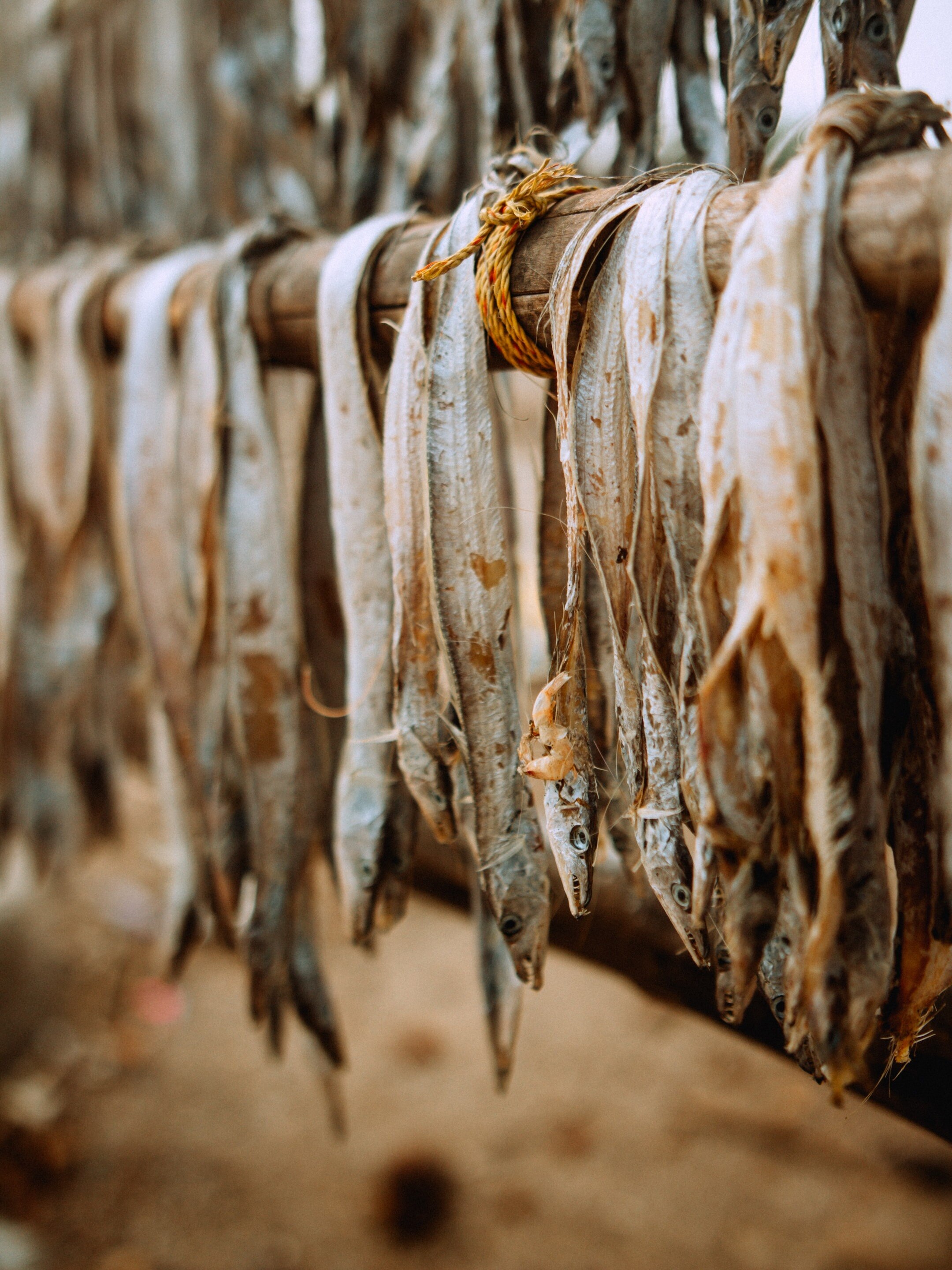 বীভৎস গন্ধ হলেও শুঁটকি মাছ দারুণ উপকারী