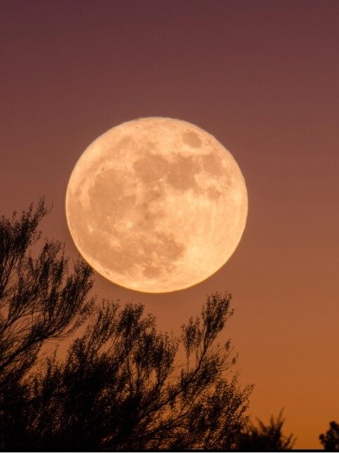 চাঁদের আলোয় বাড়ে আত্মহত্যার প্রবণতা