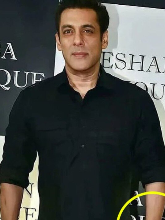 18 कैरेट गोल्ड-लाखों के हीरे, सलमान खान के नए 'लकी चार्म' की कीमत सुन चौंक जाएंगे