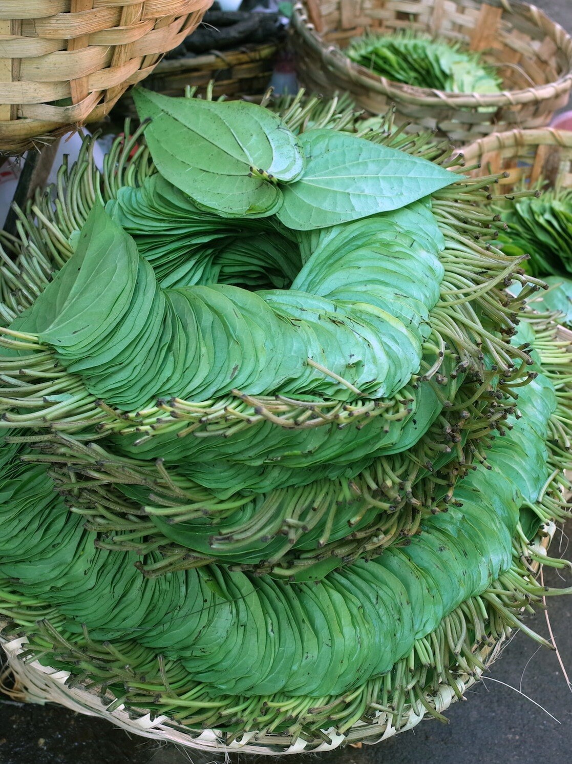 Paan betel reduce bad cholesterol sus