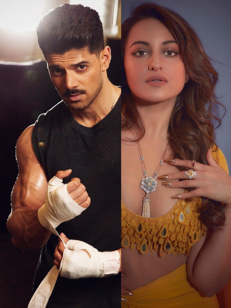 सलमान खान के साथ डेब्यू का नहीं हुआ इन सेलेब्स को फायदा, शुरुआत से ही रहे फ्लॉप