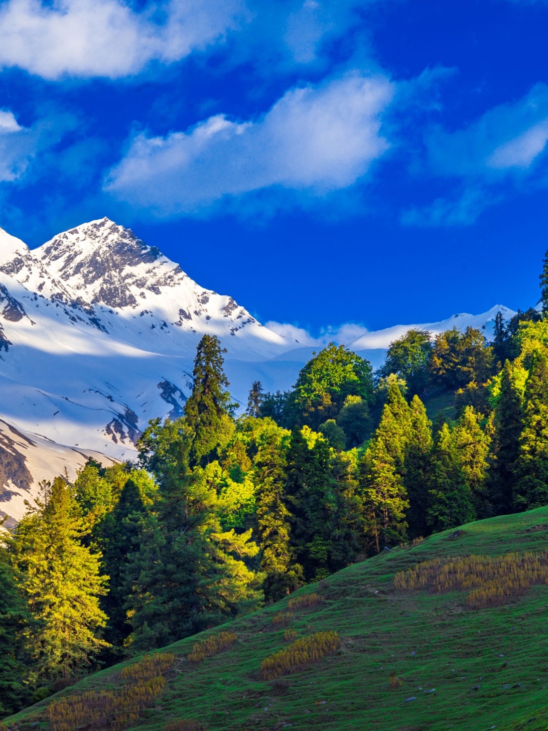 The Perfect Weekend Itinerary: Exploring Kasol