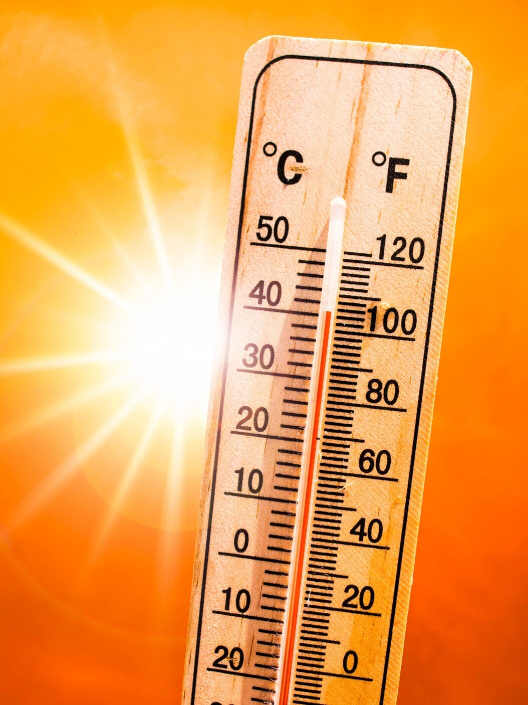 World faces climate chaos, experiences extreme weather conditions, rise in global temperature: DIU 