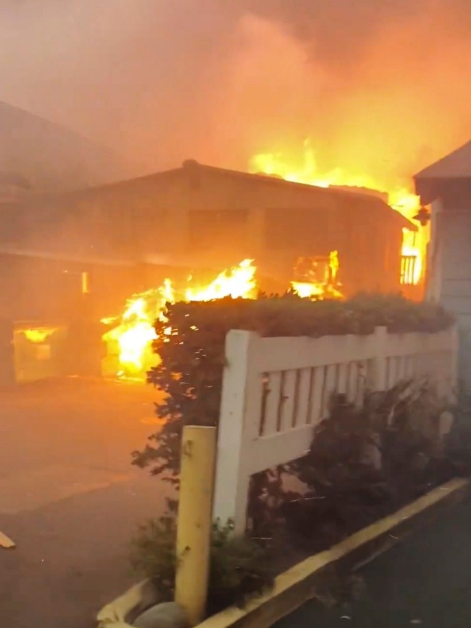 Maui wildfire damages Oprah Winfrey's estate worth over $6.6 million; Hawaii island properties owned by Jeff Bezos, Clint Eastwood and other high-profile celebs at risk