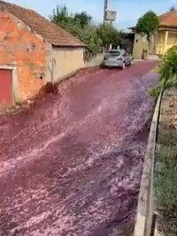 Shocking! 2.2 Million Litres of Red Wine Floods a Town in Portugal: Watch