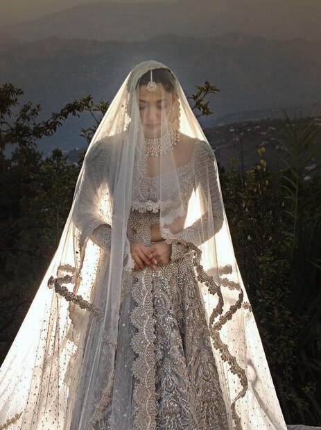 Mahira Khan's wedding photos, rumoured appearance of Salman Khan, SRK in Hrithik Roshan-starrer War 2, Mahesh Babu adopts stray dog: Celebs on Insta