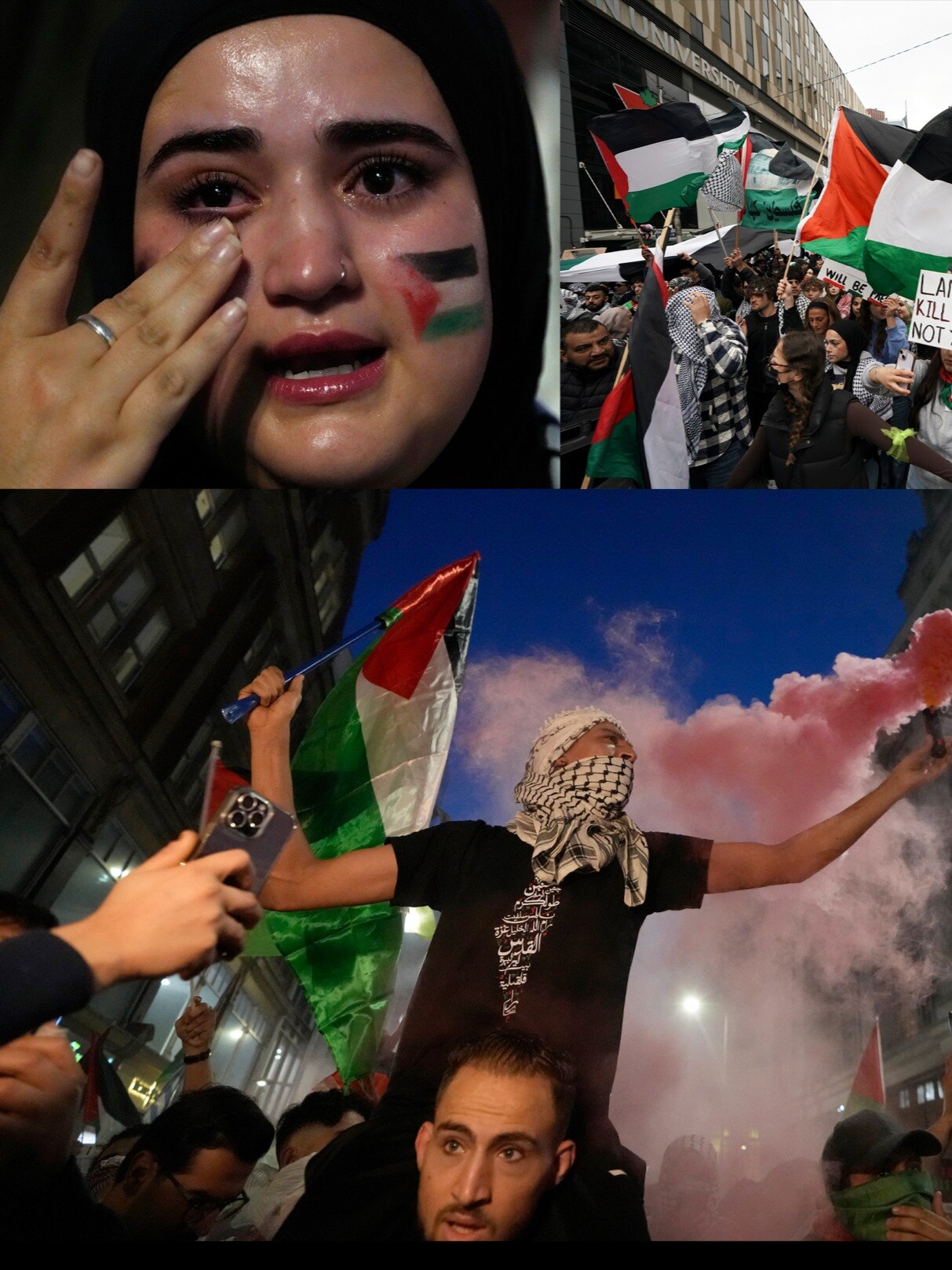 Israel-Palestine war: Who protested, who celebrated and where?