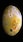 NASA obtains the sharpest-ever Image of Io: The Jupiter’s moon made of massive volcanos
