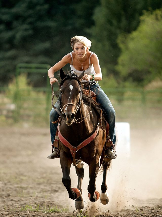 सबसे पहले किसने की थी घुड़सवारी? अब मिला सबूत Who was the first horse