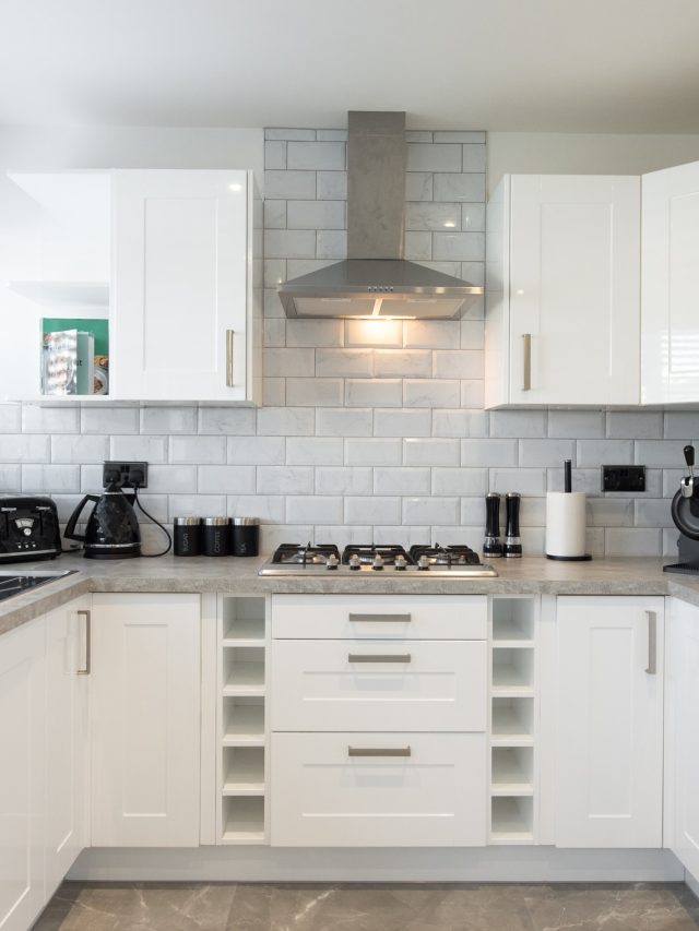 পোকামাকড় রান্নাঘরের চৌকাঠ মারাবে না, রাখুন এই ৩ জিনিস