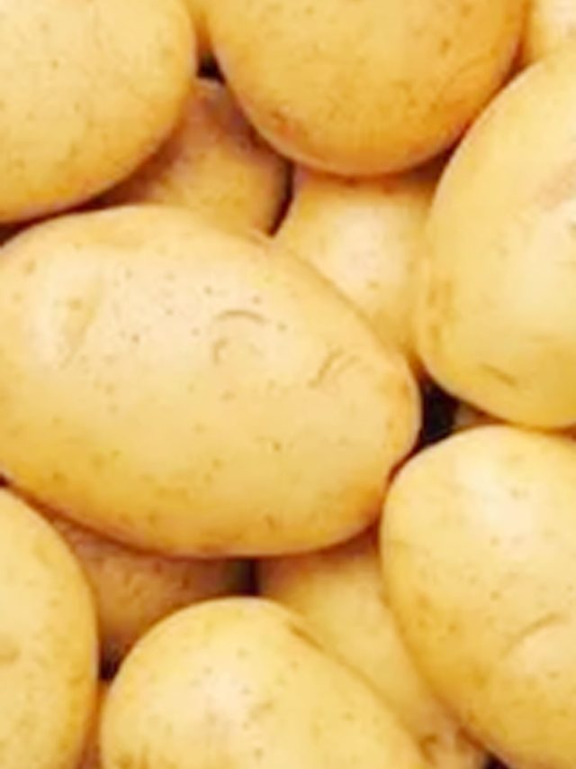 UP के इस शहर में मची आलू की लूट