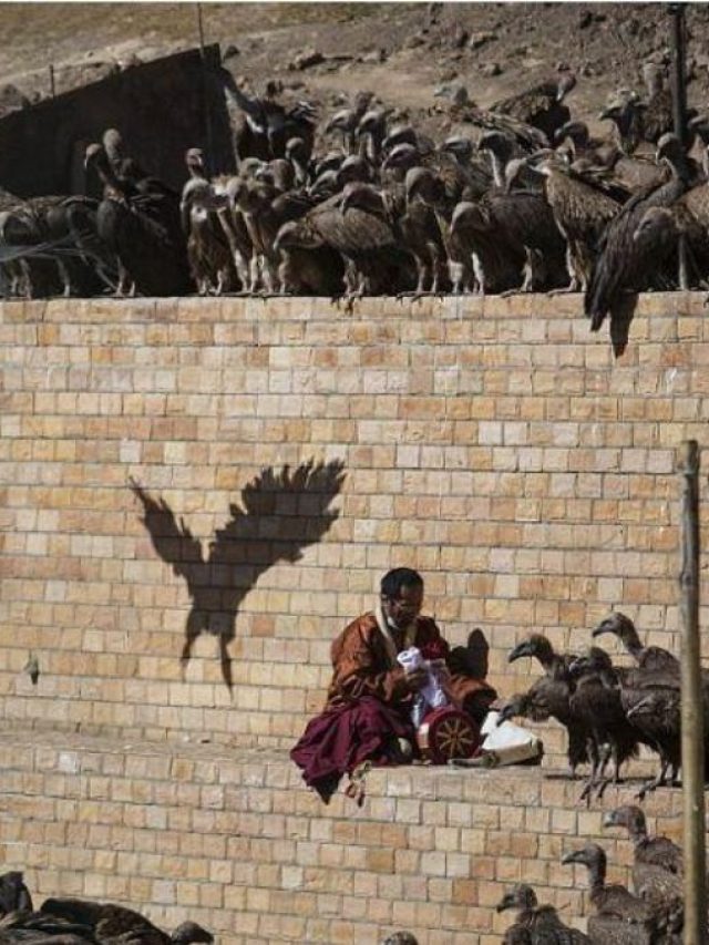 यहां अंतिम संस्कार में लाश के टुकड़े कर परिंदों को खिला देते हैं लोग!