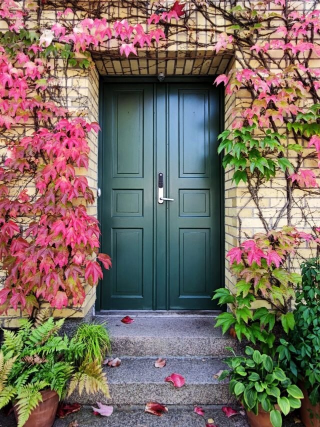 ৪টির মধ্যে কোন দরজা আপনার পছন্দ? বলে দেবে আপনার চরিত্র কেমন