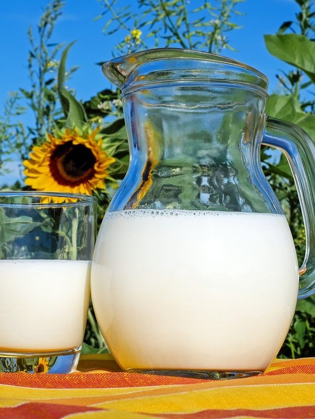 দুধের রং সাদা হয় কেন? যা বলছে বিজ্ঞান