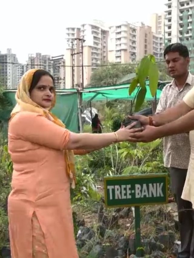 यूपी के इस ट्री बैंक से फ्री में मिल रहे पौधे, मगर यह है शर्त...