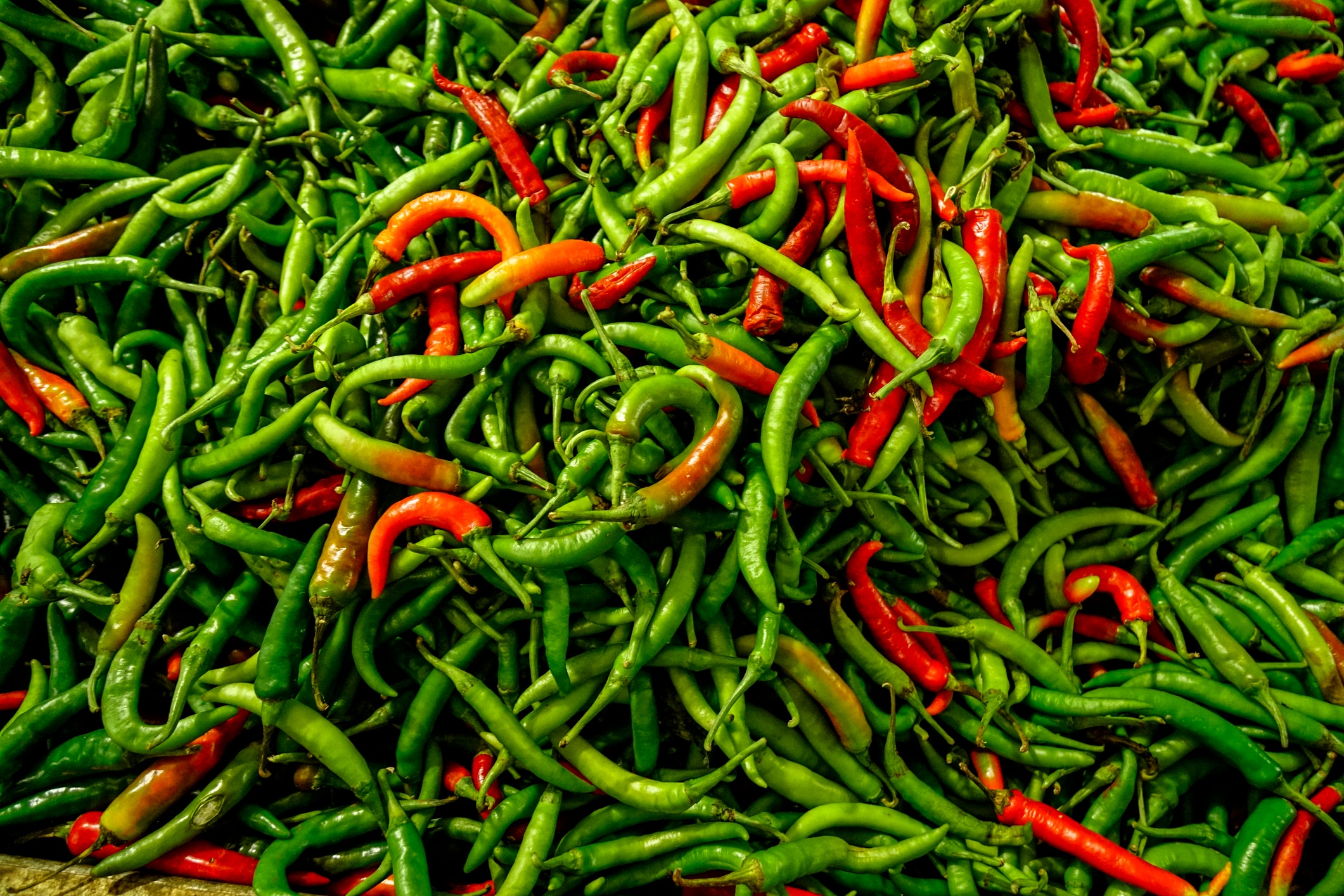 পচবে বা নষ্ট হবে না, কাঁচা লঙ্কা তাজা রাখুন ১ মাস