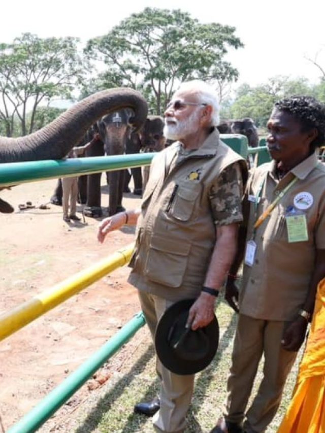 बांदीपुर टाइगर रिजर्व में पहुंचे पीएम मोदी, दिखा ये अंदाज