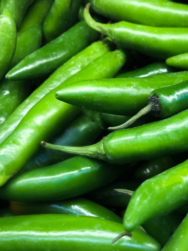 বাড়িতে কাঁচা লঙ্কা রাখুন এভাবে, দীর্ঘদিন তাজা থাকবে