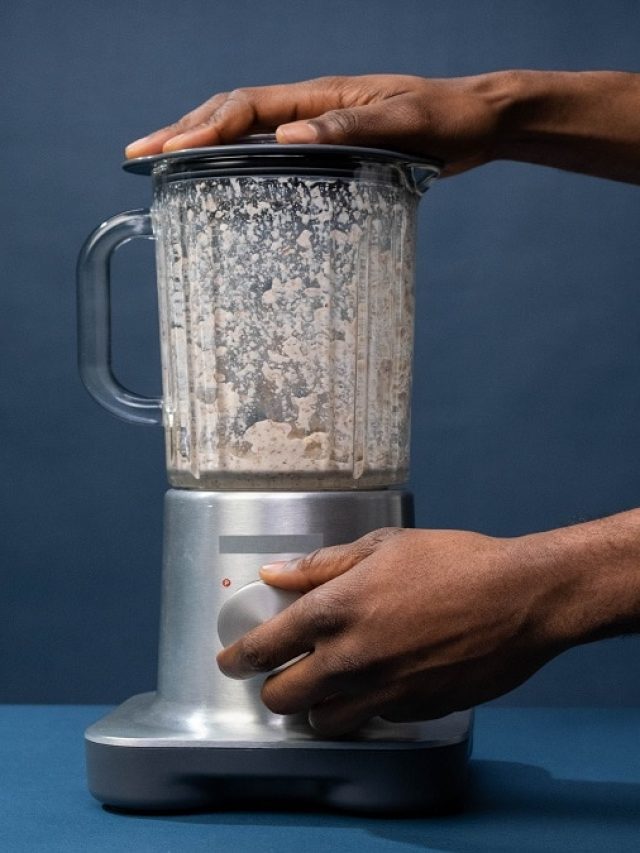 মিক্সি নষ্টই হয়ে যাবে, এই ৪ খাবার ভুলেও গুঁড়োবেন না