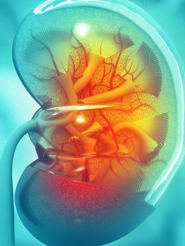 গরমে এই এক অভ্যাসে ড্যামেজ হতে পারে কিডনি, খুব সাবধান