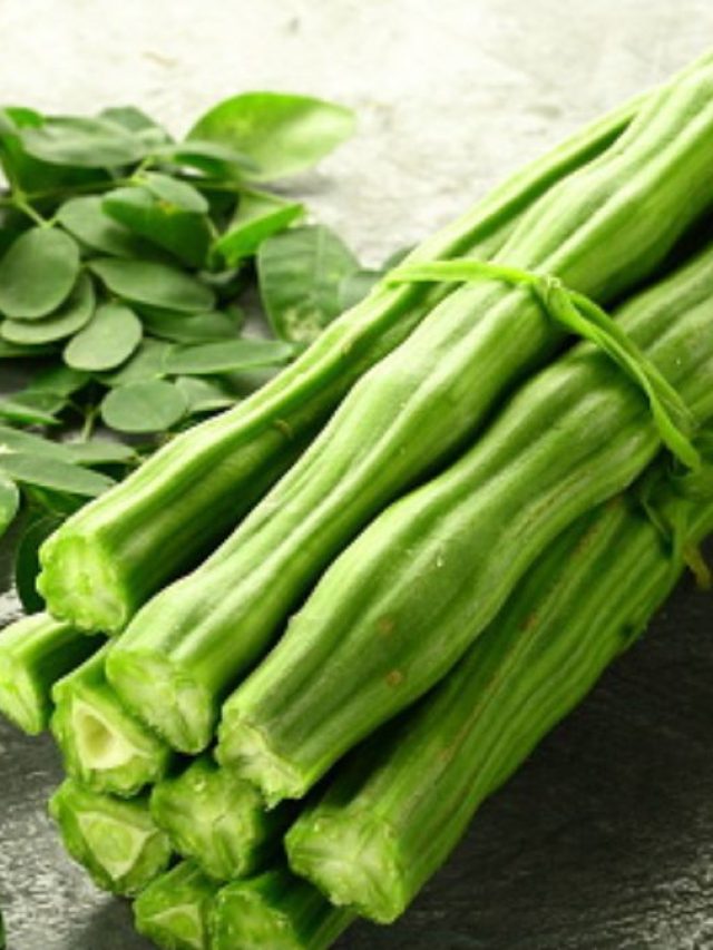 সজনের শাক না ডাঁটা, কোনটা খেলে বেশি উপকার?