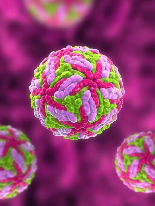 Powassan Virus: What is this rare disease? Symptoms, Treatment as US reported one death in Maine