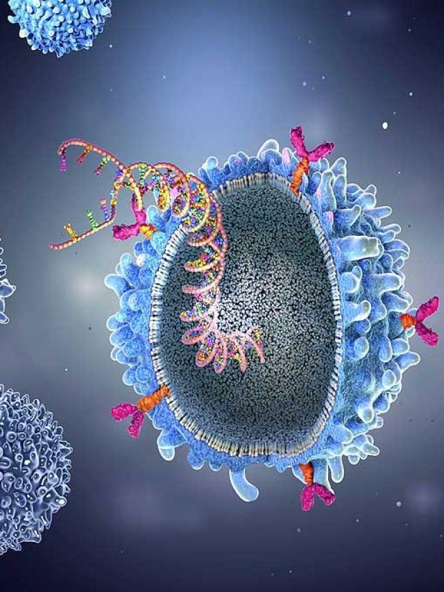 আতঙ্ক বাড়াচ্ছে পোয়াসান ভাইরাস; চিনুন উপসর্গগুলি