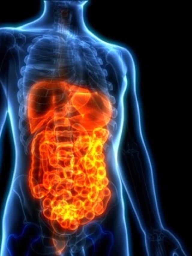 পেট ভাল রাখতে চান? আজ থেকে এই ৫টি অভ্যাস বন্ধ করুন