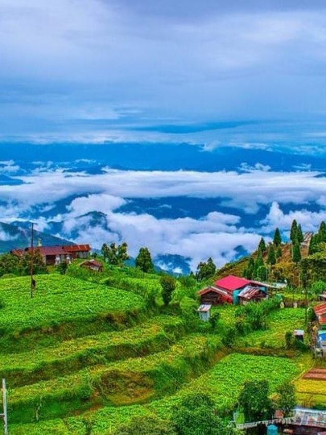 ডুয়ার্সে পাহাড়ের মাথায় আইল্যান্ড, সস্তায় ঘুরে আসুন এই জায়গা