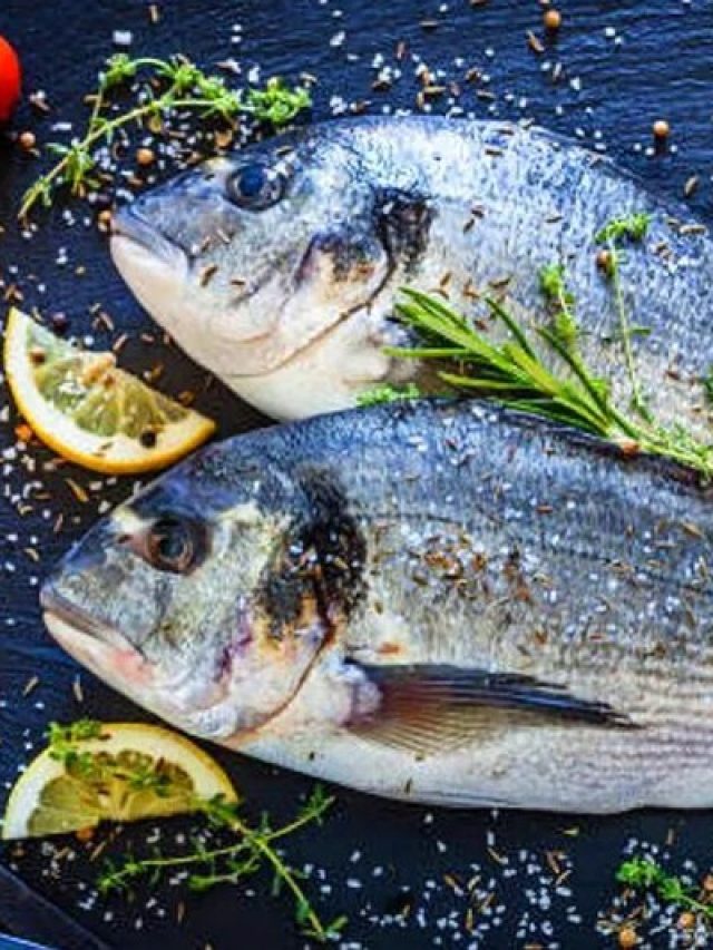 কোন মাছ খেলে বুদ্ধি বাড়ে? ব্রেন হয় শার্প