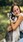 आप भी हैं Animal Lover? इन आदतों से पहचानें अपनी पर्सनैलिटी