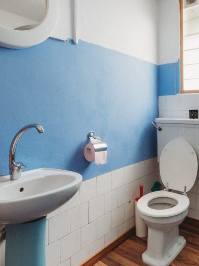 কোনও খরচ নেই, এই কৌশলে বাথরুম করুন ঝকঝকে