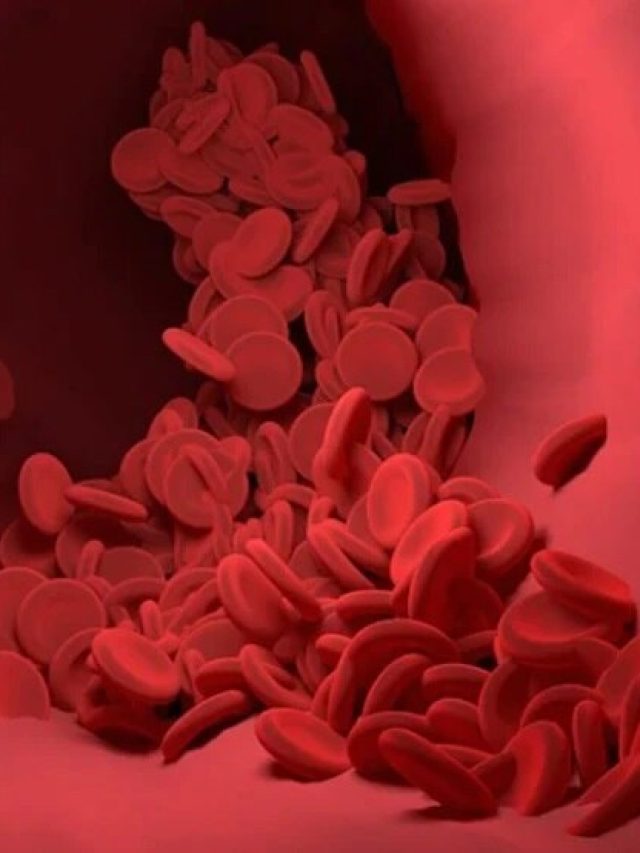 কোলেস্টেরল নিয়ন্ত্রণ করবে এই ফল-সবজিগুলি, জেনে নিন