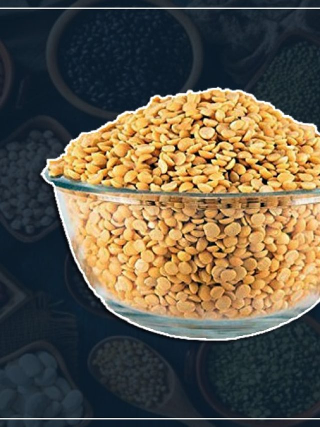 মুসুর, মুগ নয় সবচেয়ে উপকারী ডাল! স্বাদের দারুণ