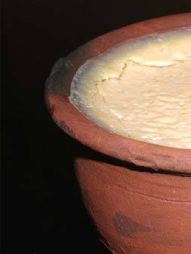 কলকাতার সেরা মিষ্টি দই পাওয়া যায় এই ৯ দোকানেই, লিস্ট রইল