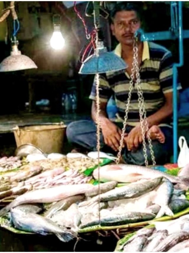 কোন মাছটা টাটকা, কোনটা পচা? রইল মাছ বিক্রেতার টিপস