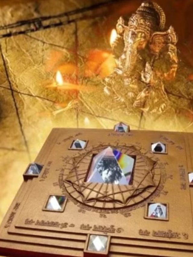 এই ৬ জিনিস ঘরে রাখলে কখনও টাকার অভাব হবে না