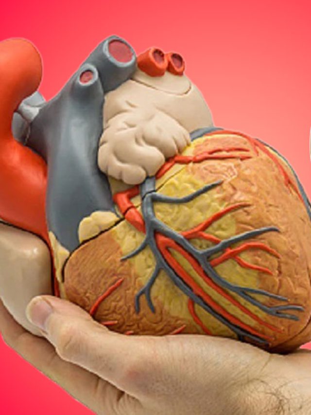 এই ৪ ফল শরীর থেকে বের করে দেবে খারাপ কোলেস্টেরল