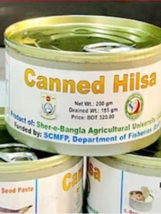 সর্ষে ইলিশ এখন মিলবে কৌটোয়, কত দাম- কোথায় পাবেন? জানুন