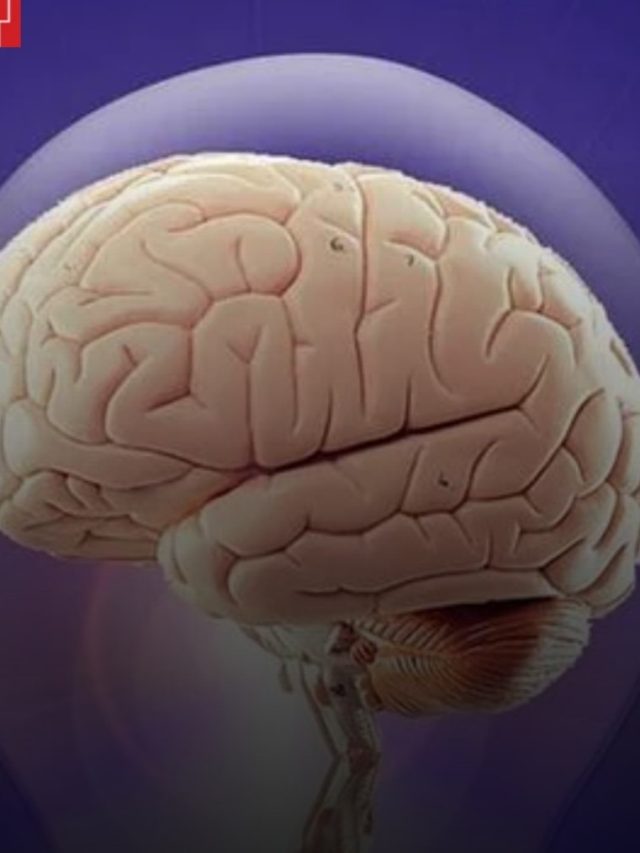 স্মৃতিশক্তি বাড়াতে চান ? এই ১০ জিনিস মেনে চলুন