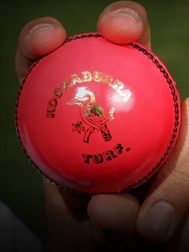 টেস্টের নয়া আকর্ষণ পিঙ্ক বল, বিশেষত্ব কী?