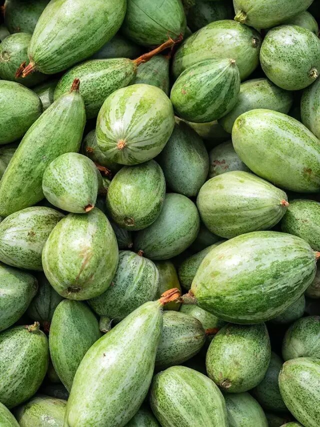 ভুঁড়ি, মেদ থাকা লোকেরা পটল খাওয়ার আগে এটা পড়ুন