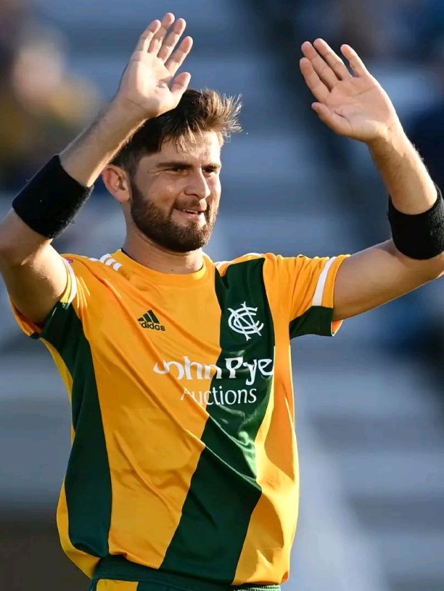 পরপর চার ছক্কা, পাকিস্তানের তারকা ক্রিকেটারের কীর্তি ভাইরাল