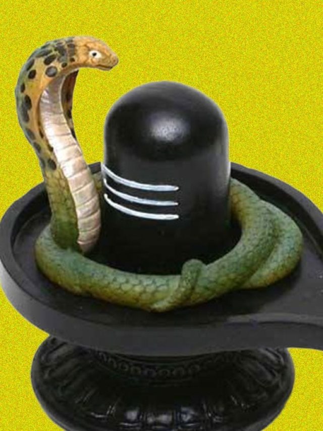 স্বপ্নে শিবলিঙ্গ দেখেছে? শুভ না অশুভ ইঙ্গিত, জানুন