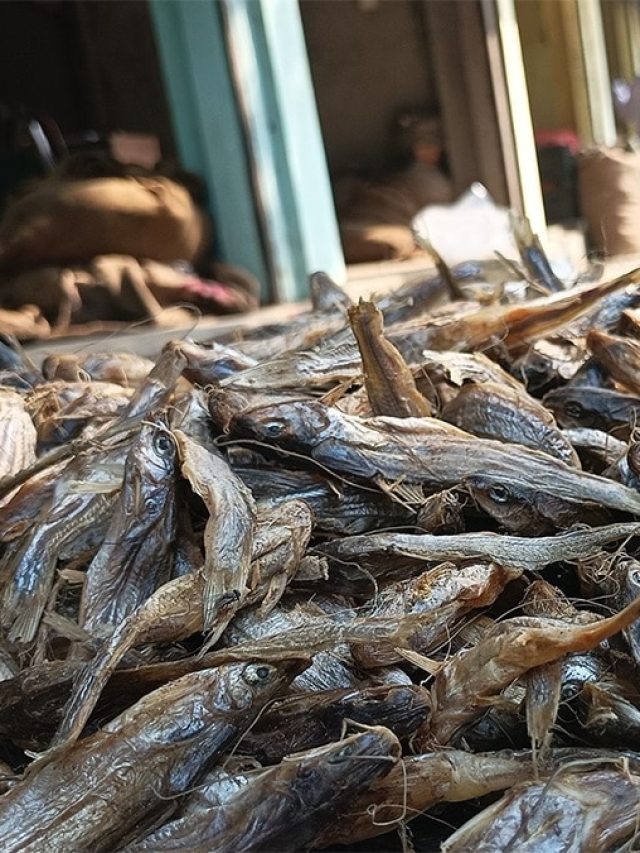 বাজে গন্ধের জন্যে দু-চক্ষের বিষ, কীভাবে তৈরি হয় শুঁটকি মাছ, জানেন?